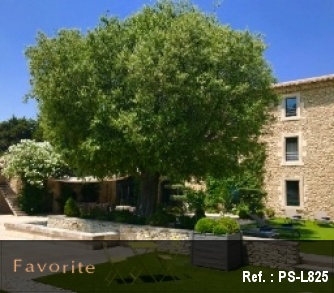 rentals with view Provence